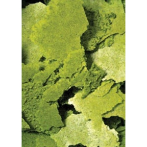 Ocean Nutrition Formula Two Flakes 34g (pokarm w płatkach)