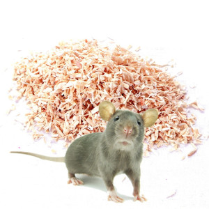 Terrario Krau Wildlife 5l - włókno drewniane Aspen / Lignocel