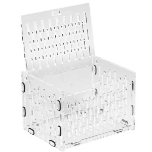 Schone Korallen Fish Container S - kotnik