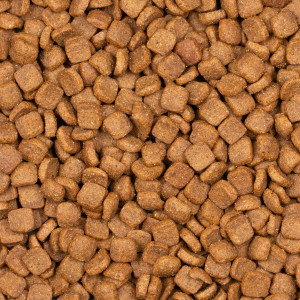 Voskes Kitten Chicken 7kg - karma dla kociąt