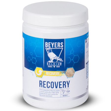 Beyers Recovery 600g - preparat regeneracyjny