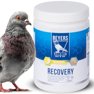 Beyers Recovery 600g - preparat regeneracyjny