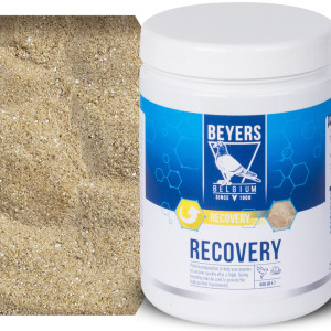 Beyers Recovery 600g - preparat regeneracyjny