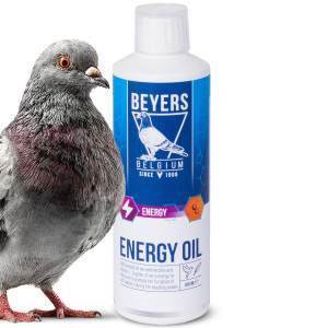Beyers Energy Oil 400ml - mieszanka olei i lecytyny + wit. E