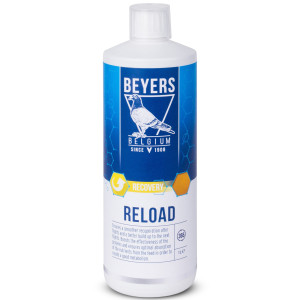Beyers Reload 1000ml - koncentrat regeneracyjny