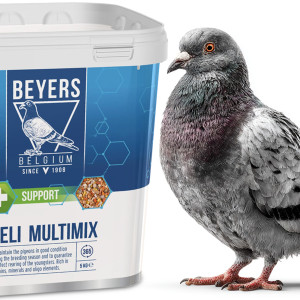 Beyers Deli Multimix 5kg - mieszanka minerałów dla młodych gołębi
