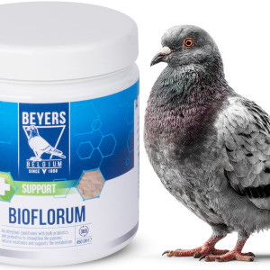 Beyers Bioflorum 450g - odżywka jelitowa