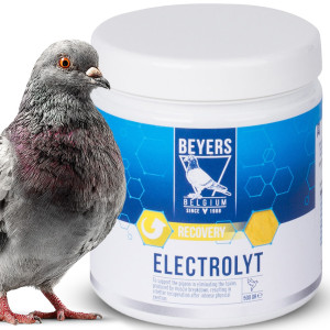 Beyers Electrolyt 500g - elektrolity dla gołębi sportowych