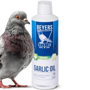 Beyers Garlic Oil 400ml - olej z czosnku