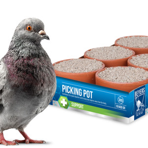 Beyers Picking Pot 5+1 -  wsparcie trawienia i zdrowia