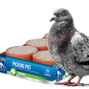 Beyers Picking Pot 5+1 -  wsparcie trawienia i zdrowia