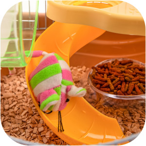 Furrever Friends Miku Castle - klatka dla małych gryzoni kompletny zestaw