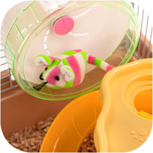 Furrever Friends Miku Castle - klatka dla małych gryzoni kompletny zestaw