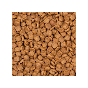 Voskes Adult Sterilized Chicken - sucha karma dla kota po sterylizacji z kurczakiem 2kg