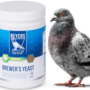 Beyers Brewer's Yeast 600g - drożdże piwne