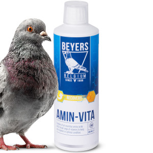 Beyers Amin-Vita 400ml - witaminy i minerały w płynie