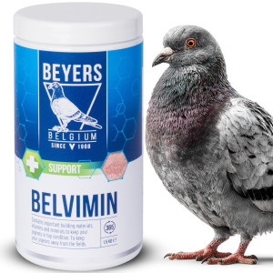 Beyers Belvimin 1.5kg - mieszanka mineralno-witaminowa