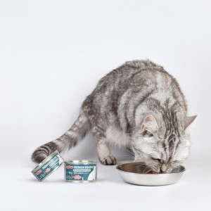 Comfy Appetit Premium Mousse Sterilized 150g -  Karma dla kotów po sterylizacji o smaku tuńczyka