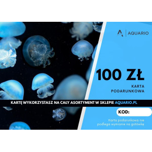Karta podarunkowa 100 zł - Idealny prezent dla akwarysty lub terrarysty
