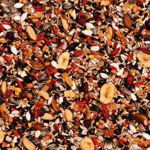 Deli Nature Birdelicious Pantanal 2kg - pokarm dla papugi Ara i Kakadu Palmowe