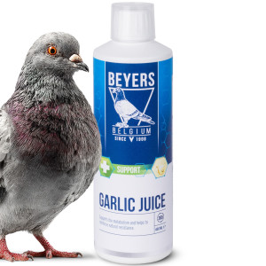 Beyers Garlic Juice 400ml - sok czosnkowy