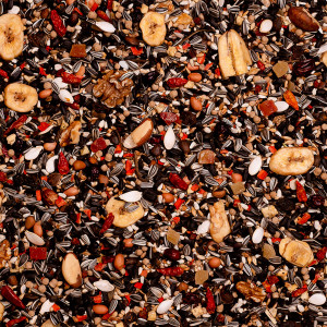 Deli Nature Birdelicious Serengeti 2kg - pokarm dla papugi Żako i Senegalka