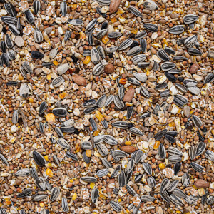 Deli Nature WildBird Mix 4kg - bogata mieszanka dla ptaków dzikich