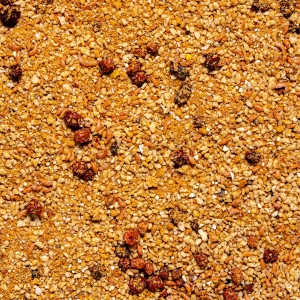 Deli Nature Uni Pate TOVO 1kg - pokarm z witaminami dla małych papug i ptaków ozdobnych