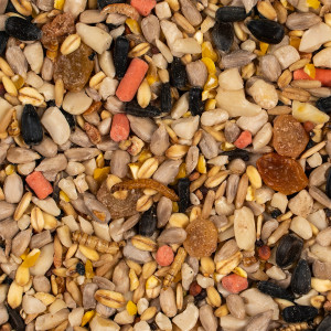 Deli Natire Energy Mix 850g - pokarm z witaminami dla ptaków dzikich