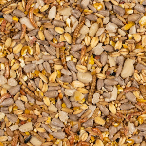 Deli Nature Protein Mix - pokarm na duży rozród dzikich ptaków