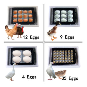 Kruger Meier ProNestix 12  - inkubator z termostatem i LED na 12 jaj