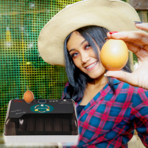 Kruger Meier ProNestix 12  - inkubator z termostatem i LED na 12 jaj