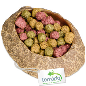 Terrario Rock Oasis XS – Miska do Terrarium 5,5x4x1 cm