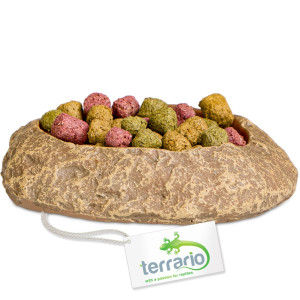 Terrario Rock Oasis XS – Miska do Terrarium 5,5x4x1 cm