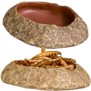 Terrario Rock Oasis XS – Miska do Terrarium 5,5x4x1 cm