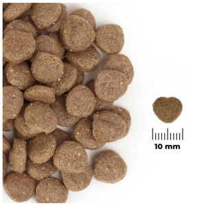 Comfy Appetit Vita Superfood Lamb 12kg - monobiałkowa karma dla psów dorosłych i szczeniąt