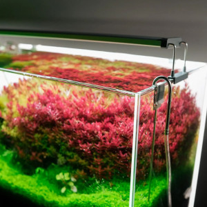 Chihiros B-Series B60 LED Light with Commander - lampa led sterowana aplikacją 60-80cm