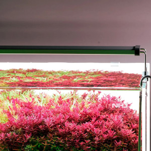 Chihiros B-Series B30 LED Light with Commander - lampa led sterowana aplikacją 30-50cm