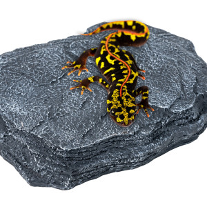 Repti-Zoo Dimmer Heat Rock 8W - kamień grzewczy z regulacją temperatury