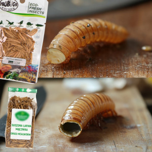 ProBugs Eco-Fresh Scolopendra Centipede 15 x 2pcs - świeże skolopendry 15 saszetek