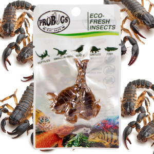 ProBugs Eco-Fresh Scorpion 15 x 3pcs - świeże skorpiony 15 saszetek