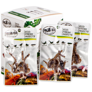 ProBugs Eco-Fresh Scorpion 15 x 3pcs - świeże skorpiony 15 saszetek