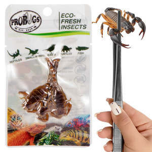ProBugs Eco-Fresh Scorpion 15 x 3pcs - świeże skorpiony 15 saszetek