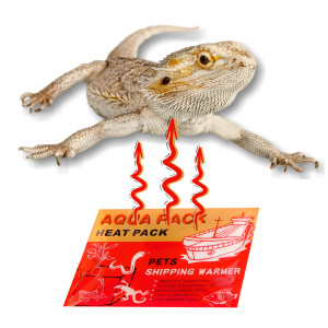 Aqua Heat Pack 'Gold' 40H x 1000 - zestaw 1000 sztuk