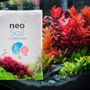 Neo Soil Plant No CO2 - podłoże do akwarium roślinnego 8l