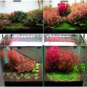 Neo Soil Plant No CO2 - podłoże do akwarium roślinnego 8l