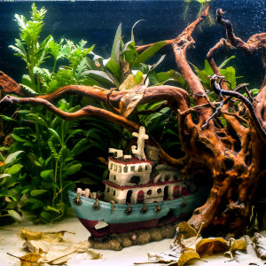 Kruger Meier Shipwreck – Statek do akwarium 28x9x18 cm