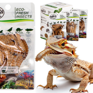 ProBugs Eco-Fresh Superworm 15 x 20g - świeże larwy drewnojada 15 saszetek