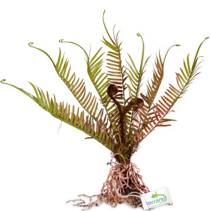 Terrario – Sztuczna roślina do terrarium - Paproć 40x14x41 cm