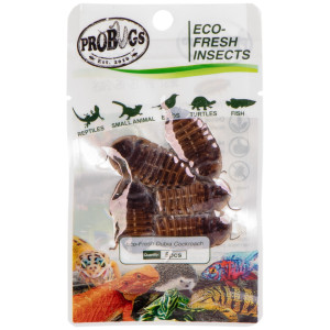 ProBugs Eco-Fresh Dubia Cockroach 15 x 5pcs - świeże karaczany argentyńskie 15 saszetek